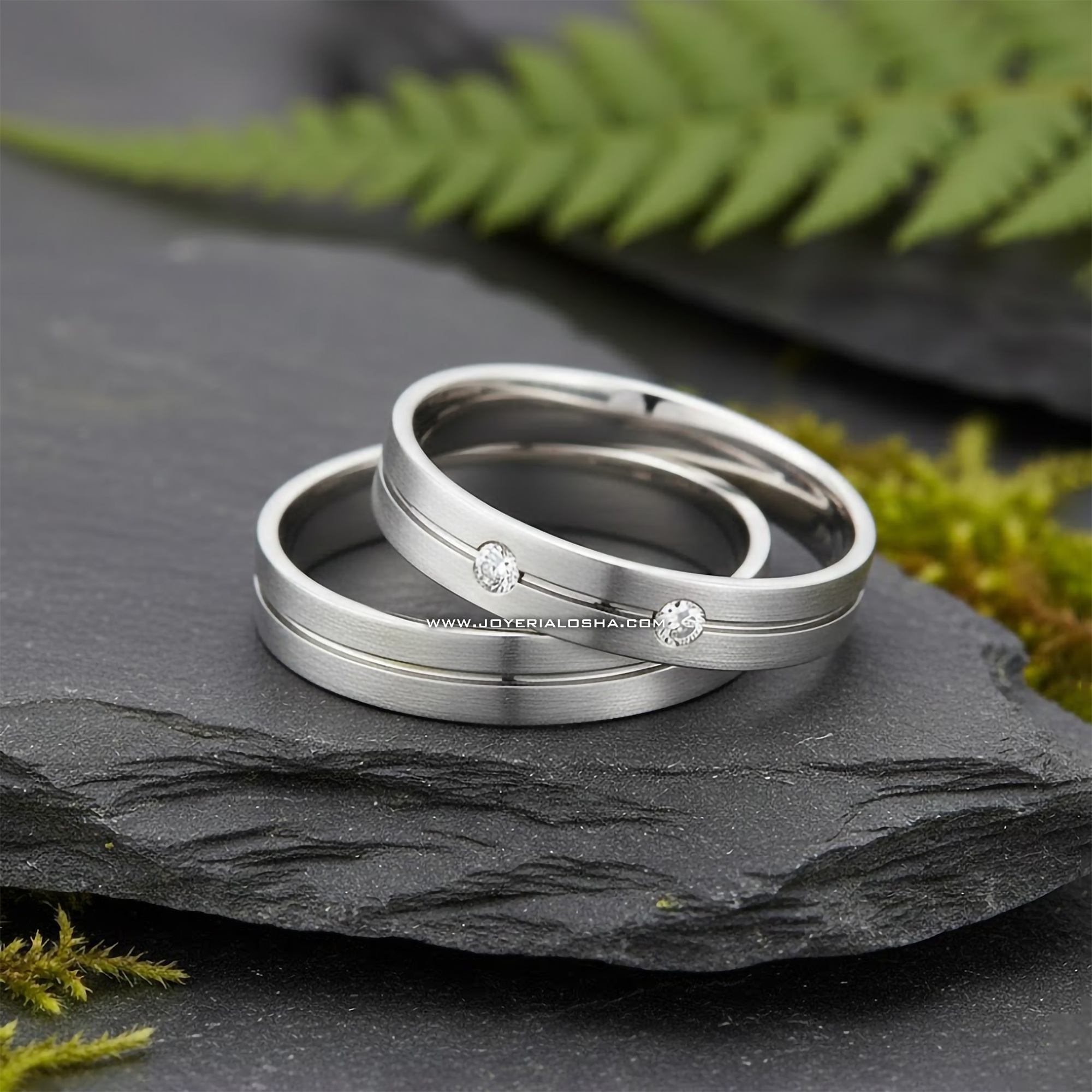 Aros de Matrimonio en plata